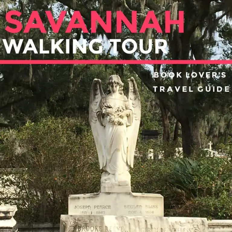 savannah travel books