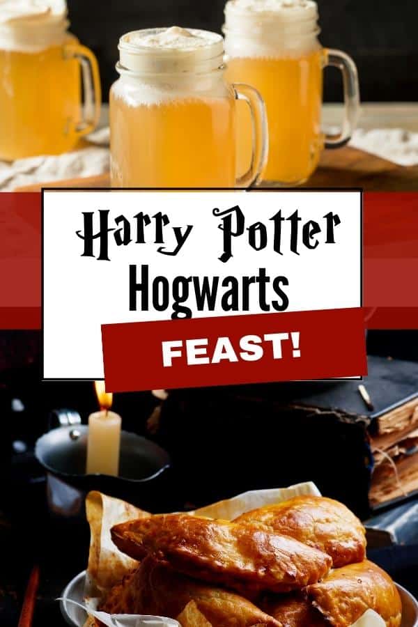 20+ Awesome Harry Potter Halloween Party Ideas For Adults